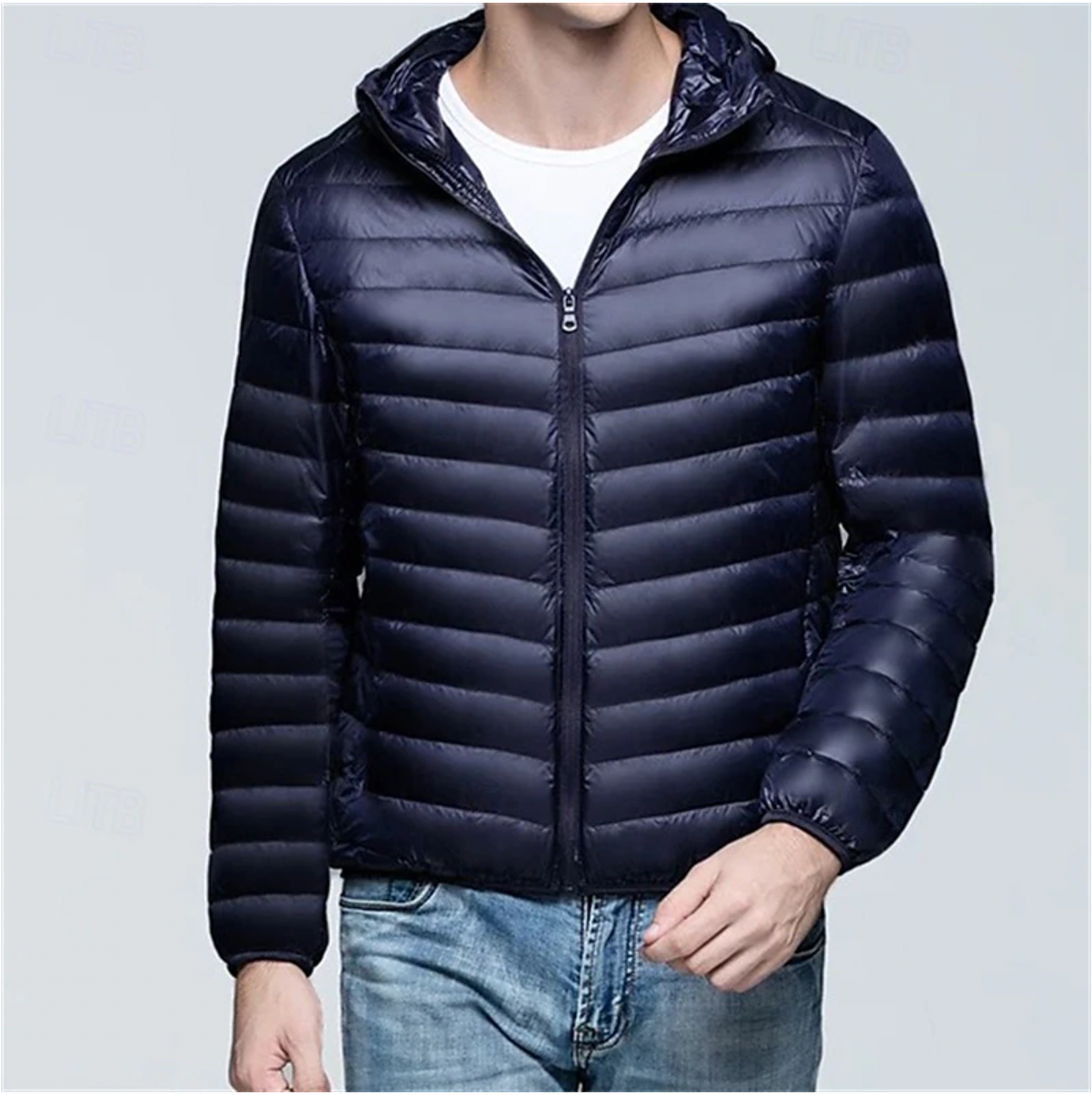 Dimitro - Stylish Puffer Designer Winter Coat